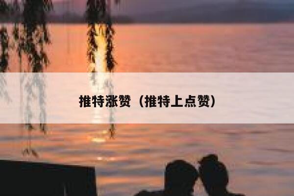推特涨赞（推特上点赞） 第1张