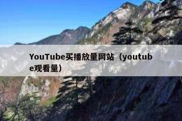 YouTube买播放量网站（youtube观看量） 第1张