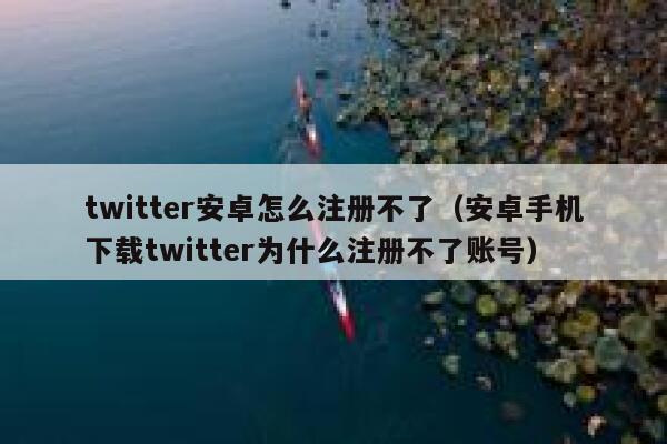 twitter安卓怎么注册不了（安卓手机下载twitter为什么注册不了账号） 第1张