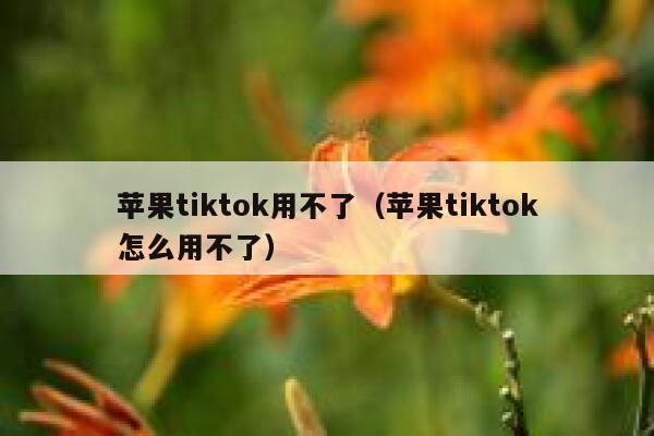苹果tiktok用不了（苹果tiktok怎么用不了） 第1张