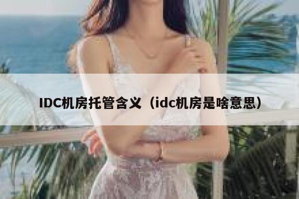 IDC机房托管含义（idc机房是啥意思） 第1张