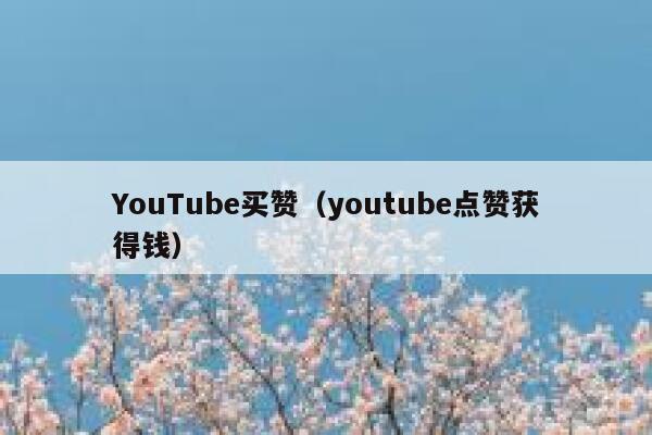 YouTube买赞（youtube点赞获得钱） 第1张