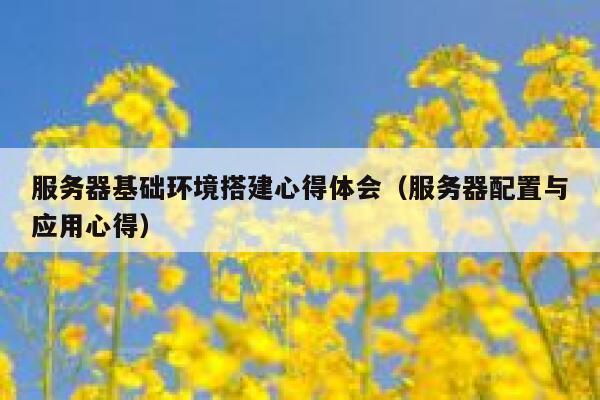 服务器基础环境搭建心得体会（服务器配置与应用心得） 第1张