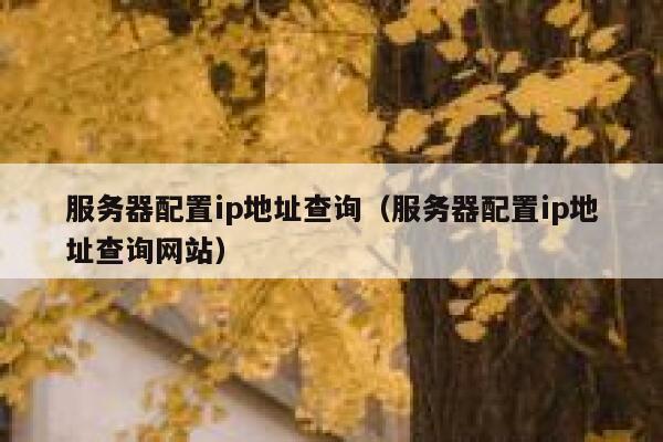服务器配置ip地址查询（服务器配置ip地址查询网站） 第1张