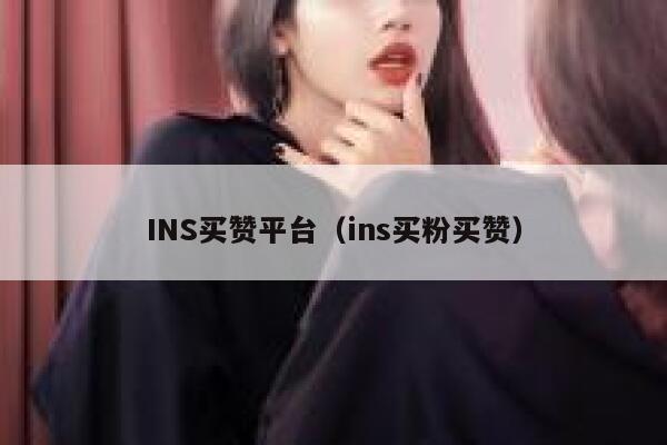 INS买赞平台（ins买粉买赞） 第1张