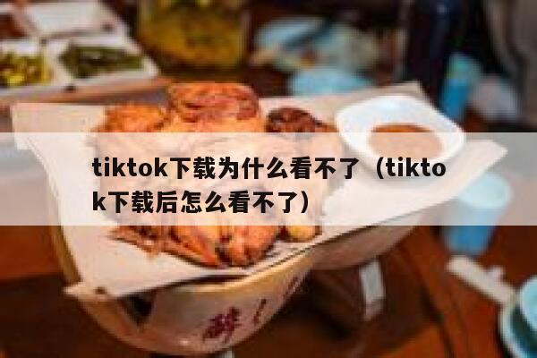 tiktok下载为什么看不了（tiktok下载后怎么看不了） 第1张