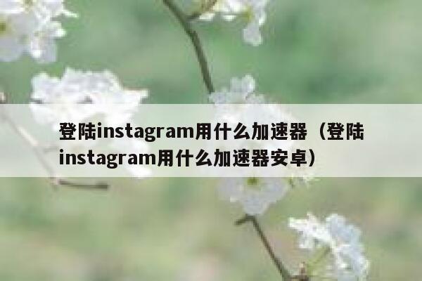 登陆instagram用什么加速器（登陆instagram用什么加速器安卓） 第1张