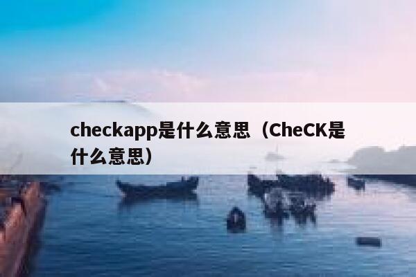 checkapp是什么意思（CheCK是什么意思） 第1张