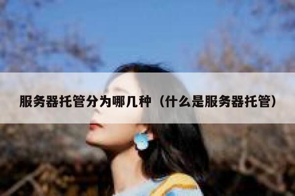 服务器托管分为哪几种（什么是服务器托管） 第1张