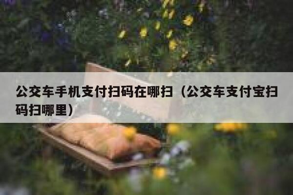 公交车手机支付扫码在哪扫（公交车支付宝扫码扫哪里） 第1张