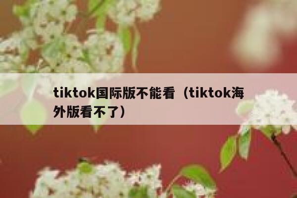 tiktok国际版不能看（tiktok海外版看不了） 第1张