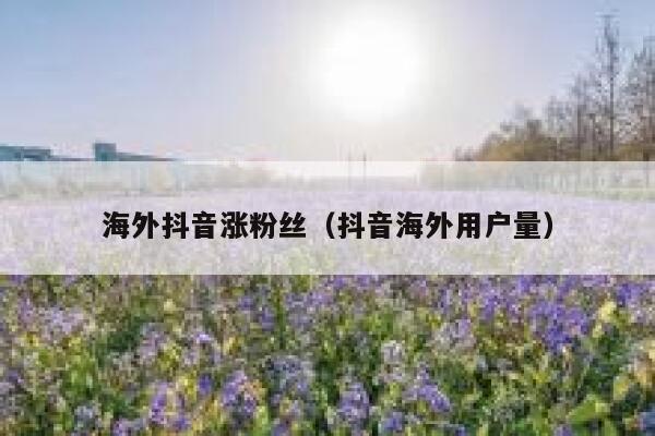 海外抖音涨粉丝（抖音海外用户量） 第1张