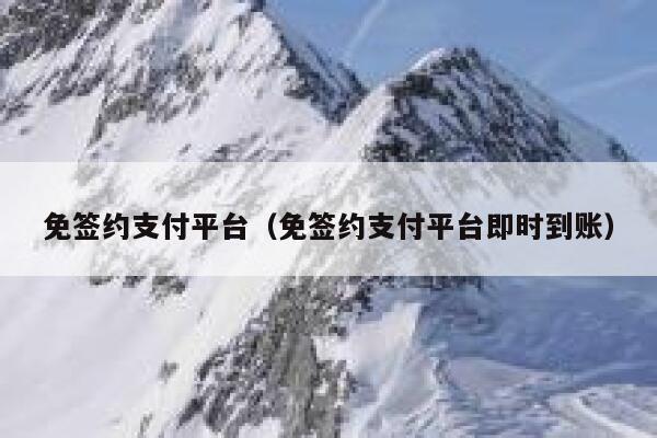 免签约支付平台（免签约支付平台即时到账） 第1张