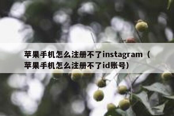 苹果手机怎么注册不了instagram（苹果手机怎么注册不了id账号） 第1张