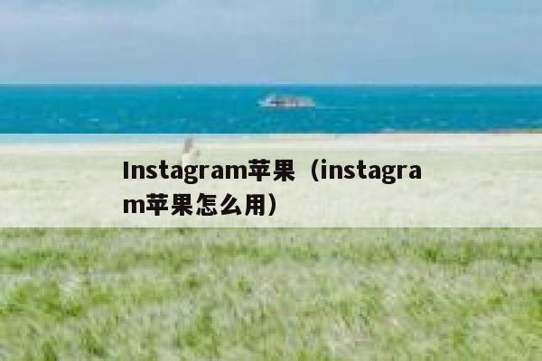 Instagram苹果（instagram苹果怎么用） 第1张