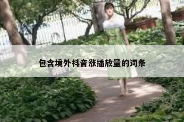 包含境外抖音涨播放量的词条 第1张