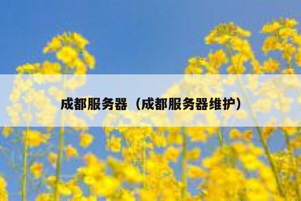 成都服务器（成都服务器维护） 第1张