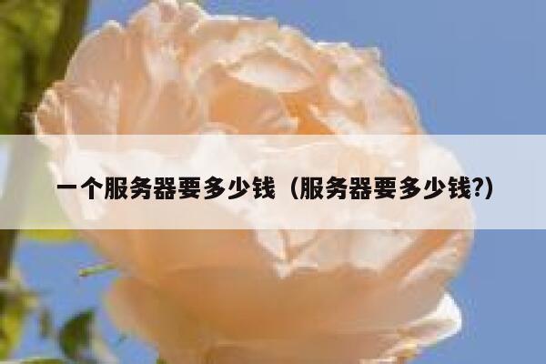 一个服务器要多少钱（服务器要多少钱?） 第1张