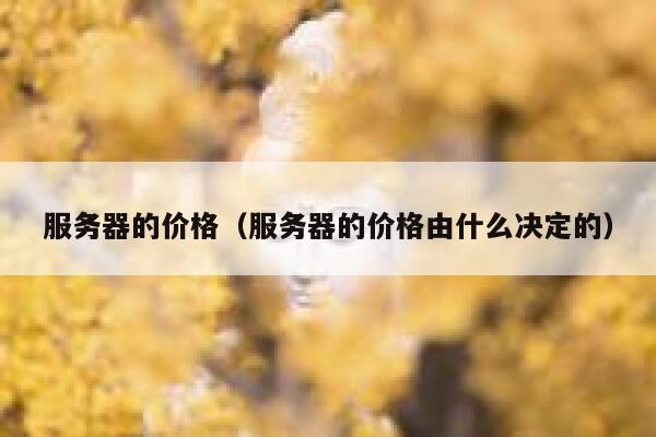 服务器的价格(服务器的价格由什么决定的) 第1张 服务器的价格(服务器的价格由什么决定的) 第1张