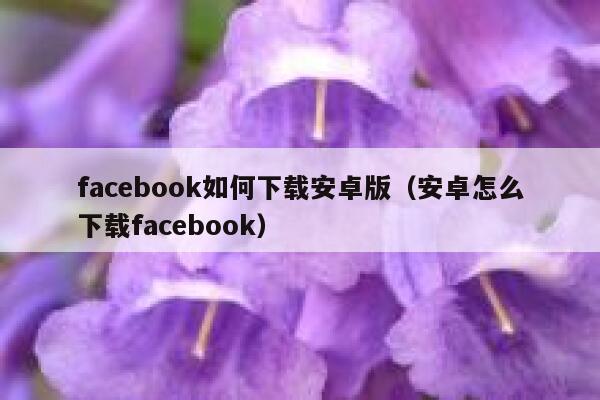 facebook如何下载安卓版(安卓怎么下载facebook) 第1张 facebook如何下载安卓版(安卓怎么下载facebook) 第1张