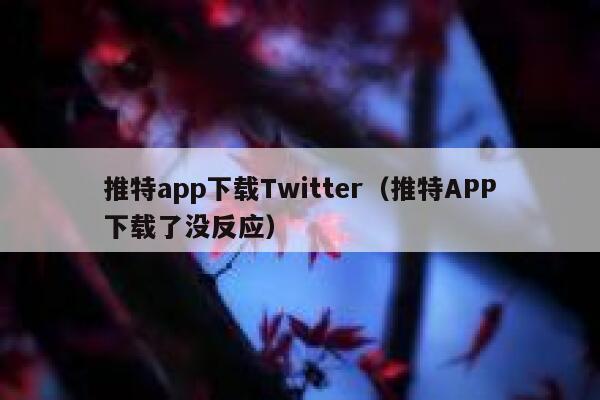 推特app下载Twitter(推特APP下载了没反应) 第1张 推特app下载Twitter(推特APP下载了没反应) 第1张