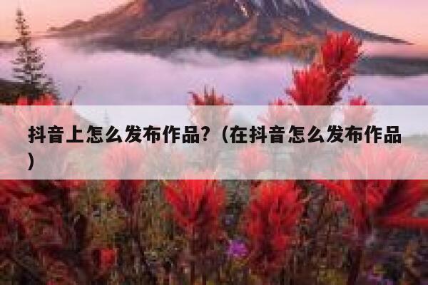 抖音上怎么发布作品?（在抖音怎么发布作品） 第1张