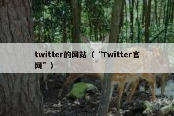 twitter的网站（“Twitter官网”） 第1张