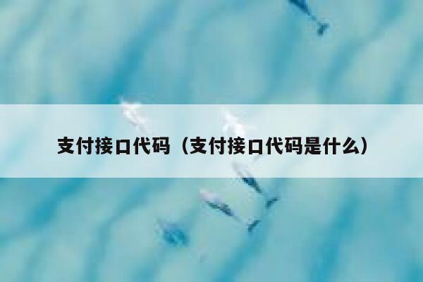 支付接口代码（支付接口代码是什么） 第1张