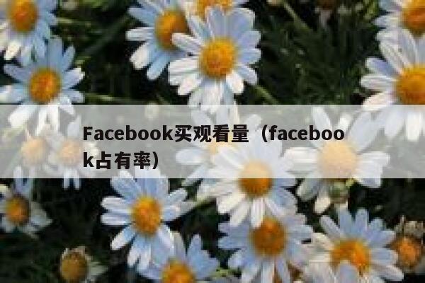 Facebook买观看量（facebook占有率） 第1张