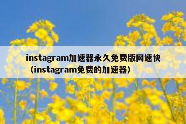 instagram加速器永久免费版网速快（instagram免费的加速器） 第1张