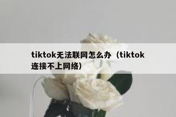 tiktok无法联网怎么办（tiktok连接不上网络） 第1张
