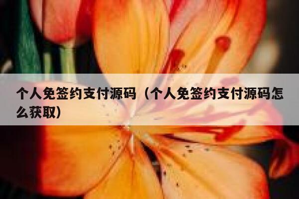 个人免签约支付源码（个人免签约支付源码怎么获取） 第1张