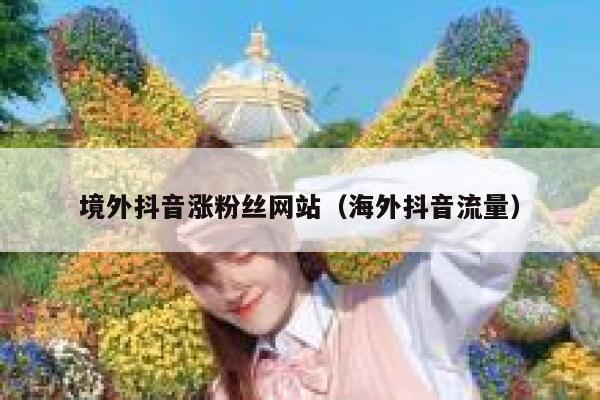 境外抖音涨粉丝网站（海外抖音流量） 第1张