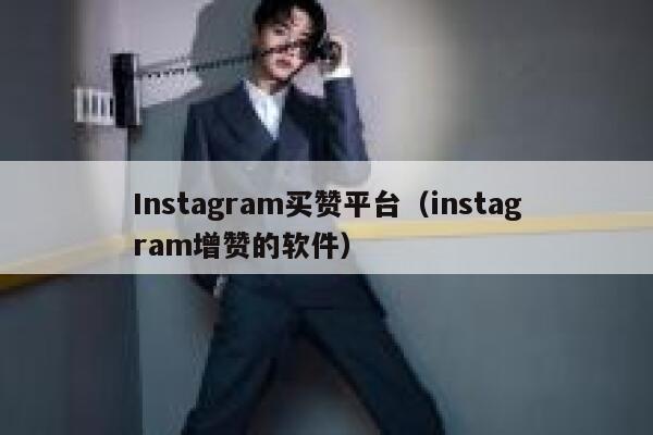 Instagram买赞平台（instagram增赞的软件） 第1张