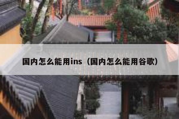 国内怎么能用ins（国内怎么能用谷歌） 第1张