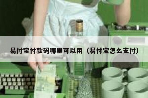 易付宝付款码哪里可以用（易付宝怎么支付） 第1张
