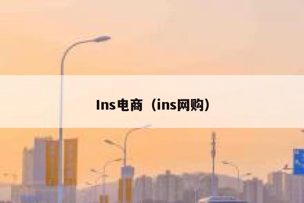 Ins电商（ins网购） 第1张