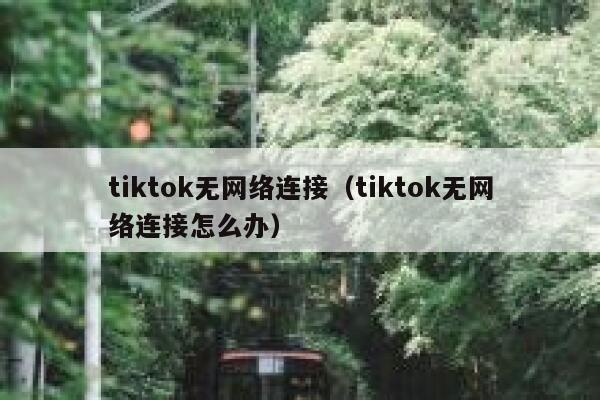 tiktok无网络连接（tiktok无网络连接怎么办） 第1张