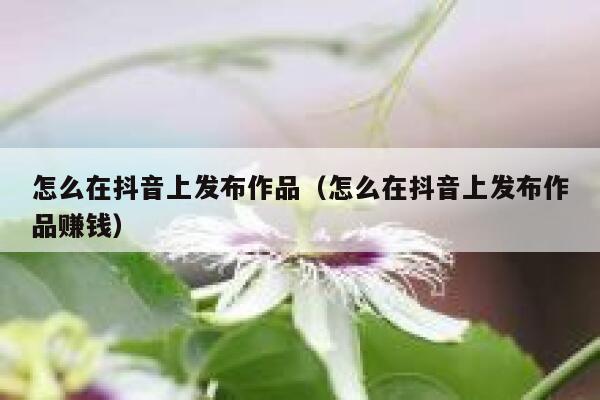怎么在抖音上发布作品（怎么在抖音上发布作品赚钱） 第1张