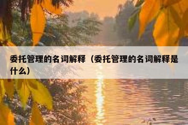 委托管理的名词解释（委托管理的名词解释是什么） 第1张