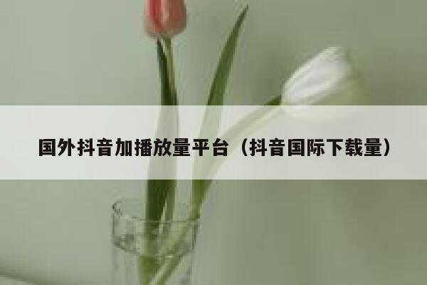 国外抖音加播放量平台（抖音国际下载量） 第1张