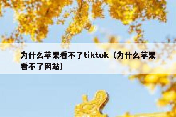 为什么苹果看不了tiktok（为什么苹果看不了网站） 第1张