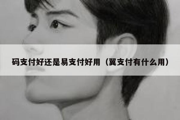 码支付好还是易支付好用（翼支付有什么用） 第1张