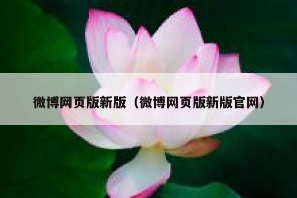 微博网页版新版（微博网页版新版官网） 第1张