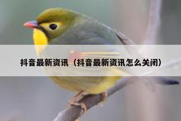 抖音最新资讯（抖音最新资讯怎么关闭） 第1张