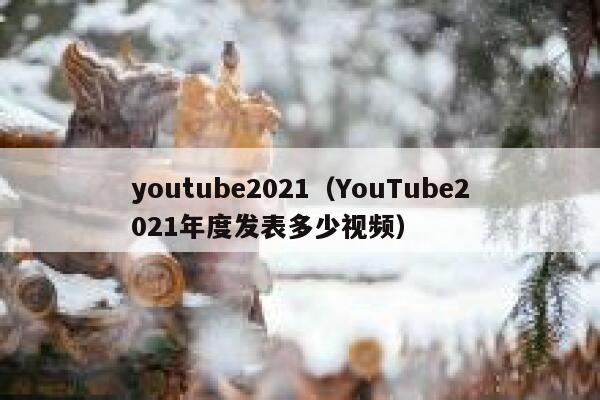youtube2021（YouTube2021年度发表多少视频） 第1张