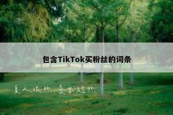包含TikTok买粉丝的词条 第1张