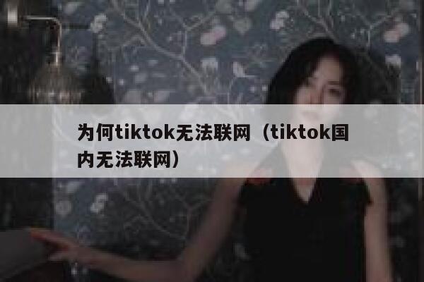 为何tiktok无法联网（tiktok国内无法联网） 第1张