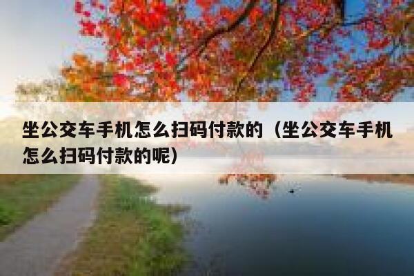 坐公交车手机怎么扫码付款的（坐公交车手机怎么扫码付款的呢） 第1张