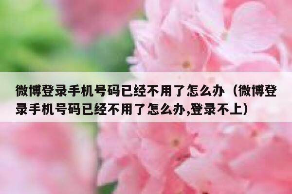 微博登录手机号码已经不用了怎么办(微博登录手机号码已经不用了怎么办,登录不上) 第1张 微博登录手机号码已经不用了怎么办(微博登录手机号码已经不用了怎么办,登录不上) 第1张